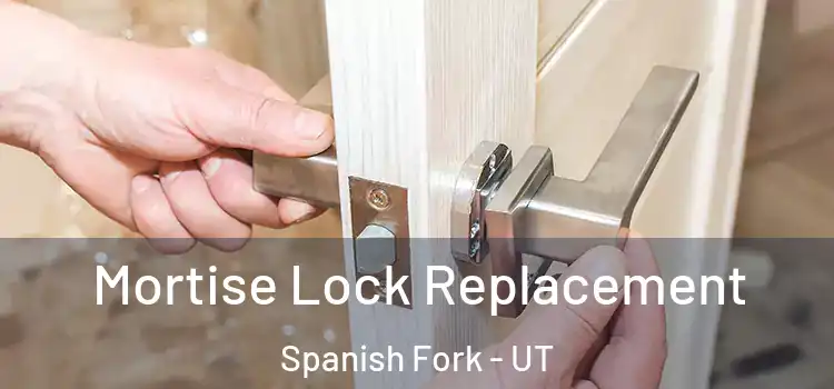 Mortise Lock Replacement Spanish Fork - UT